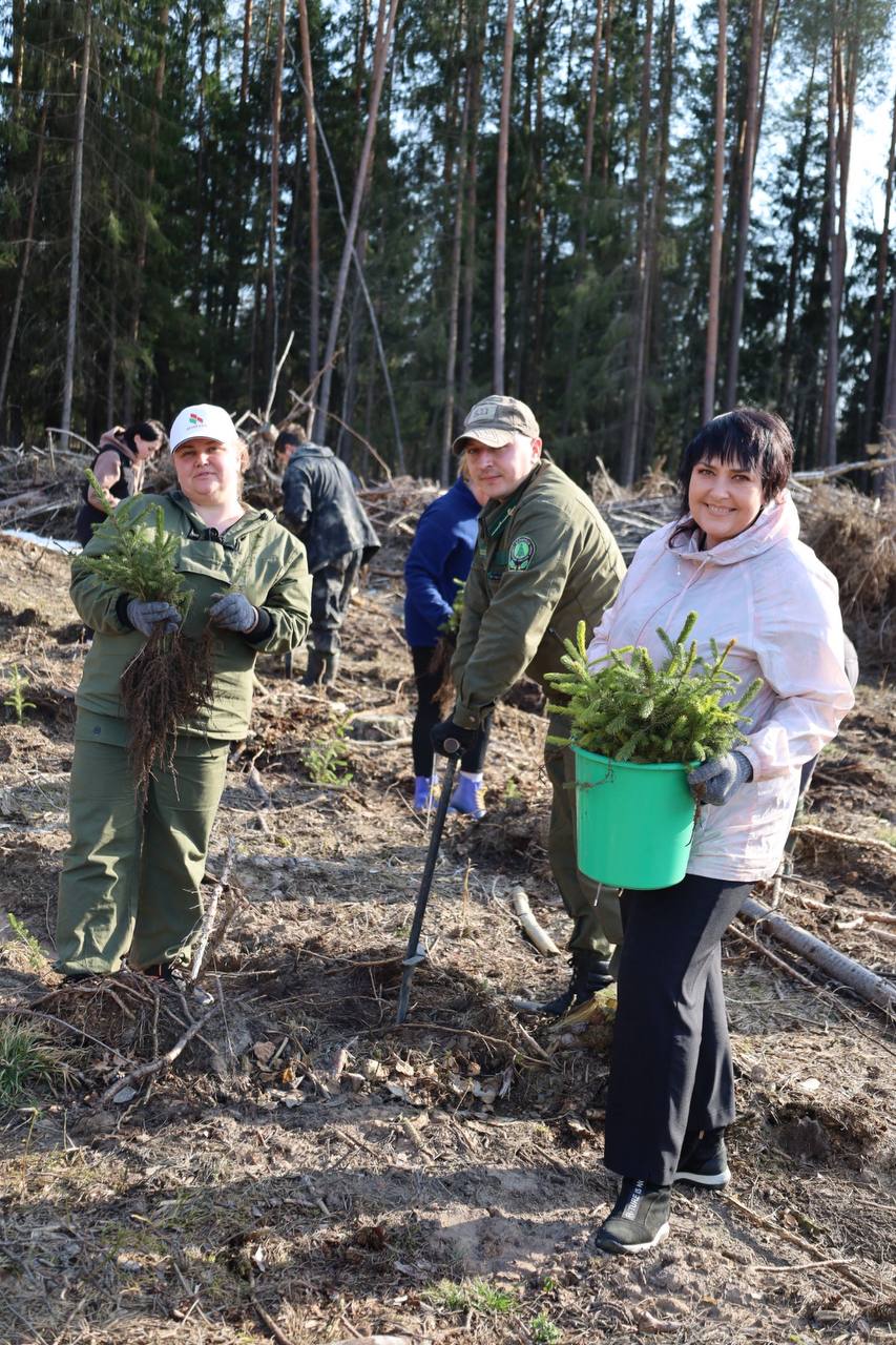 v-beshenkovichskom-rayone-prokhodit-aktsiya-les-dabro-paradak-_3