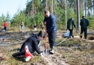 Республиканский субботник прошёл в Бешенковичском районе