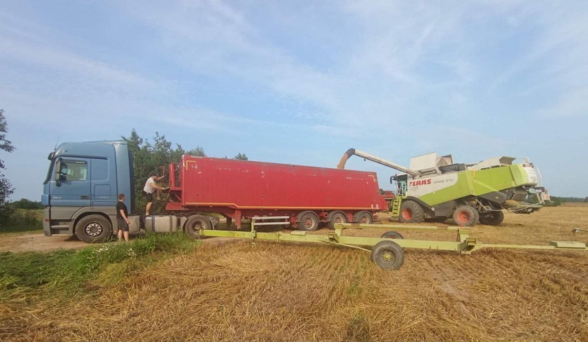 Жатва-2025: рассказываем, кто в числе передовиков