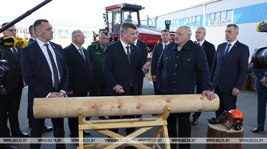 Lukashenko comments on financial performance of Belarus’ woodworking industry