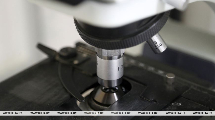 NASB: Young scientists propose new solutions for Belarus’ economy
