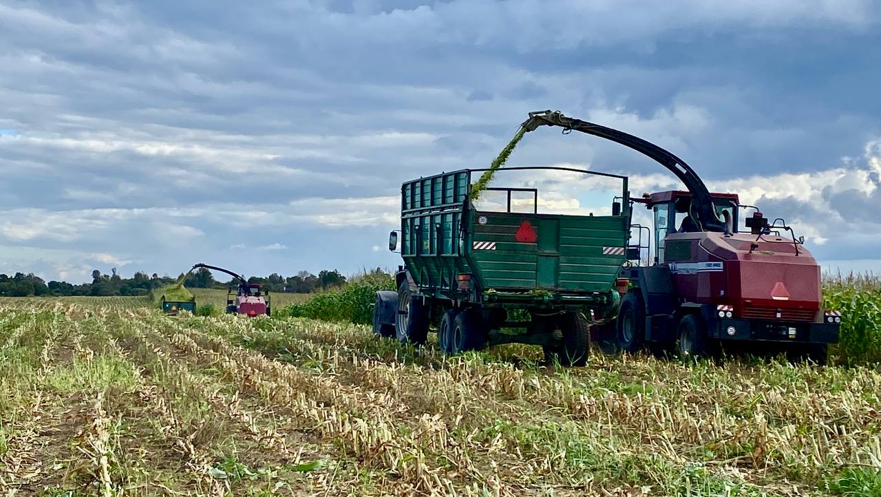 Слаженно работают на уборке кукурузы труженики ЗАО «АСБ-Агро Новатор»