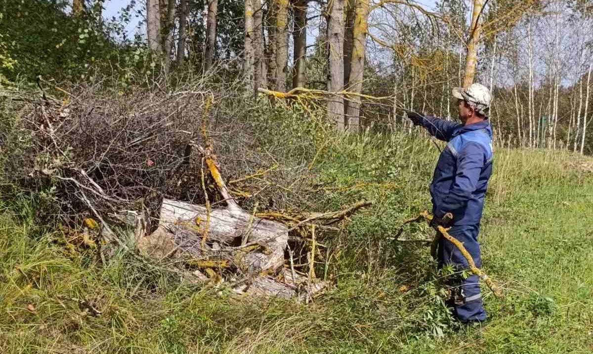 В Бешенковичах прошел районный субботник