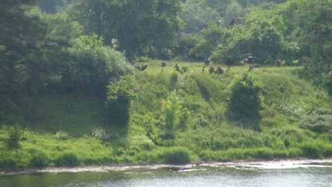 28-aprelja-vsemirnyj-den-oxrany-truda-20381_3