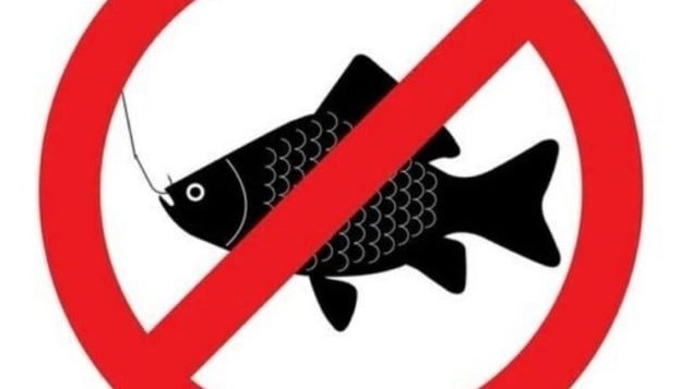 10 апреля устанавливается запрет на лов всех видов рыбы, он продлится по 8 июня 