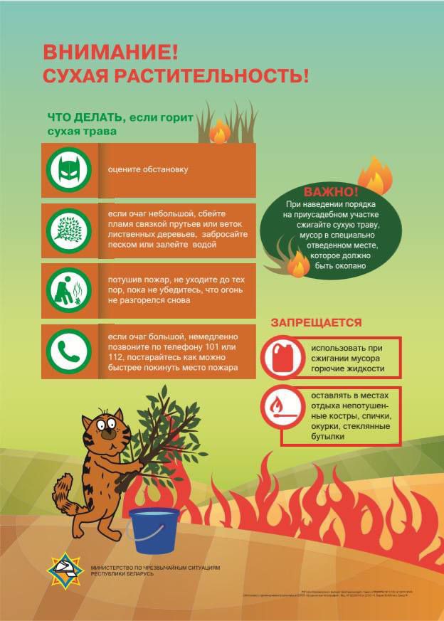 na-territorii-vitebskoy-oblasti-zafiksirovany-3-sluchaya-zagoraniy-v-prirodnykh-ekosistemakh-po-odno_0