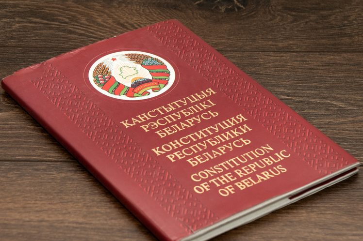 Библиотеки района проводят часы правовой грамотности ко Дню Конституции