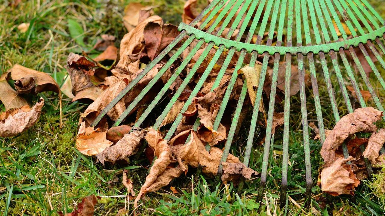 25 октября в Беларуси пройдет республиканский субботник