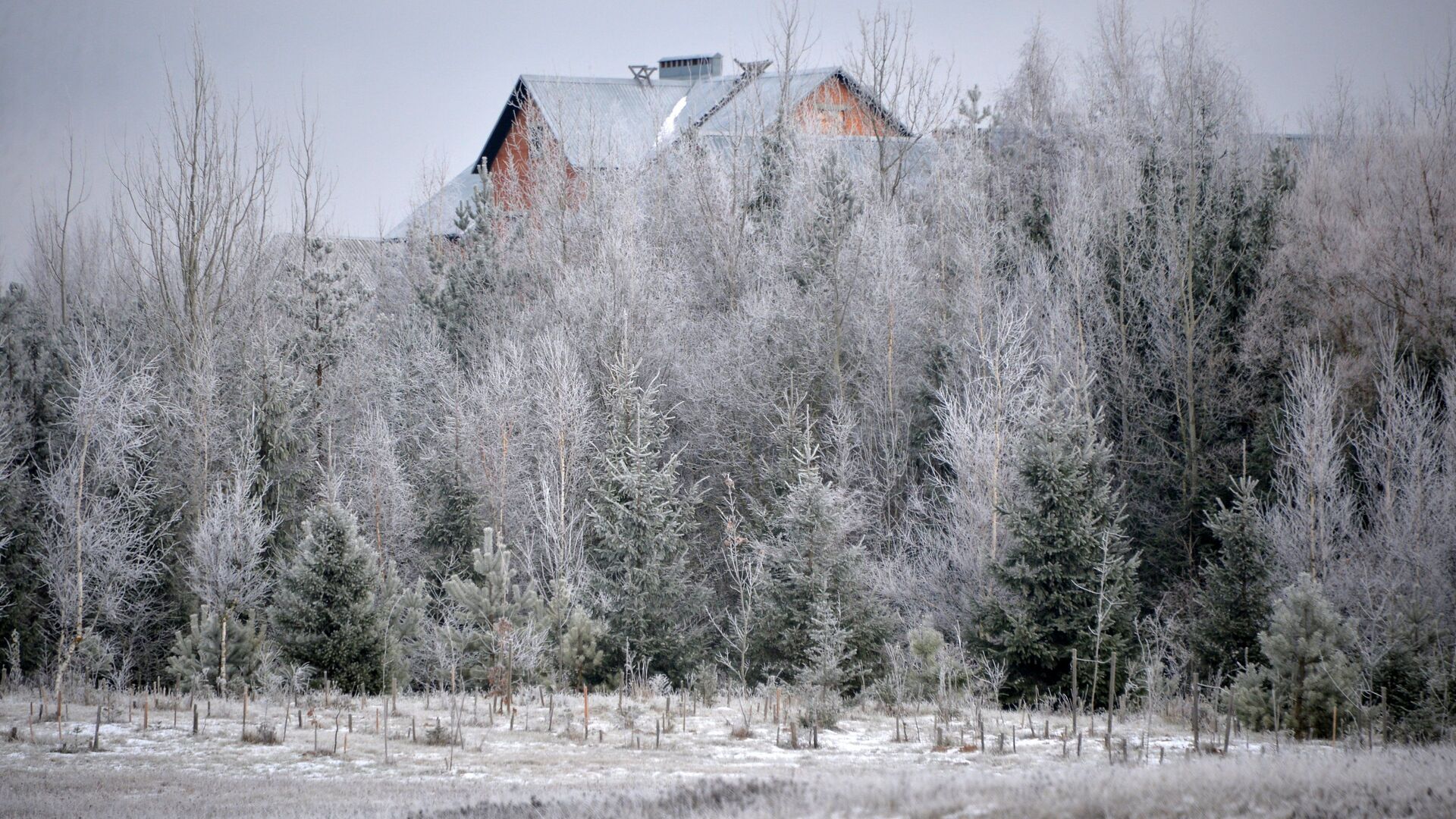 Безопасная зима: как защитить себя и свой дом в морозы