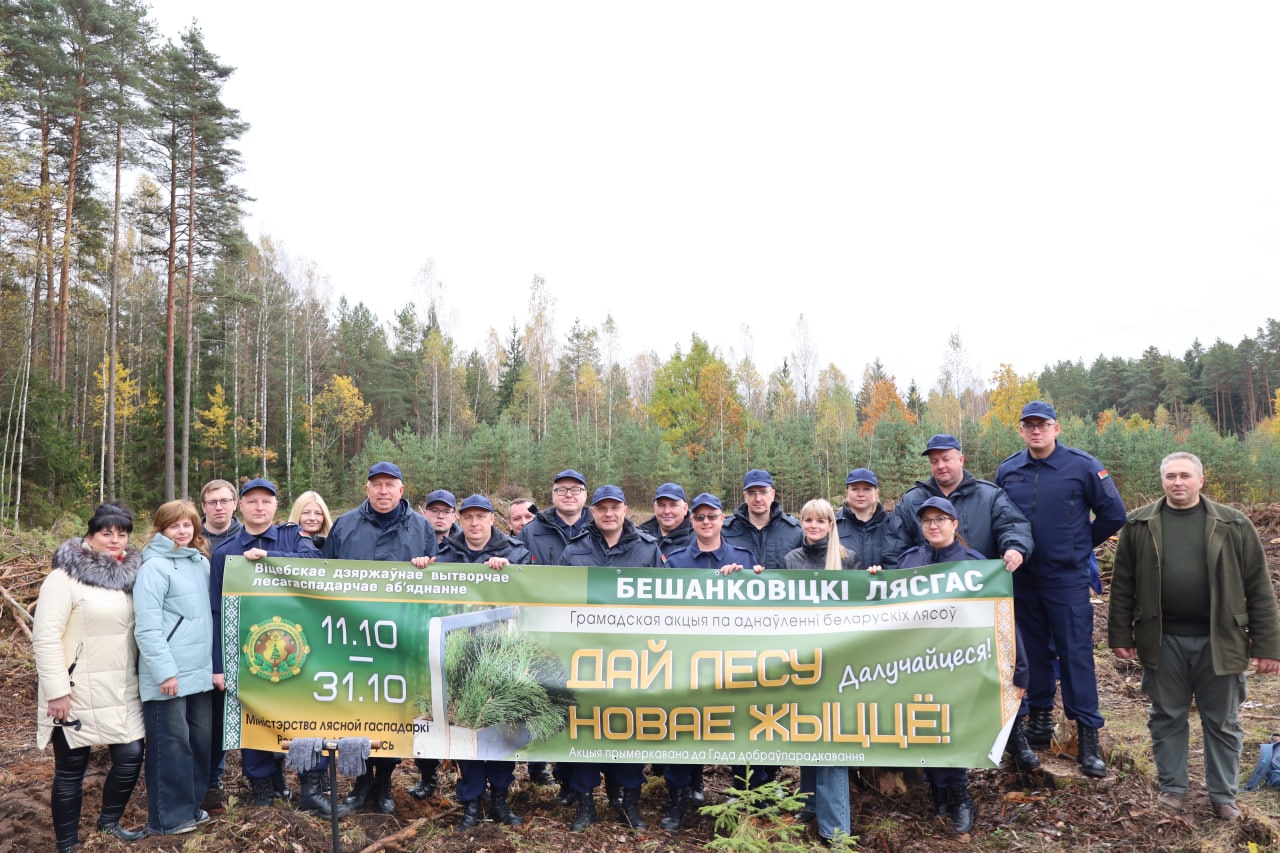 Работники органов прокуратуры Витебщины приняли участие в республиканской акции «Дай лесу новае жыццё»