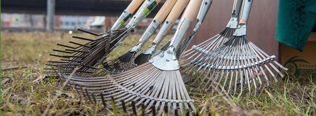 Республиканский субботник пройдет в Беларуси 12 апреля