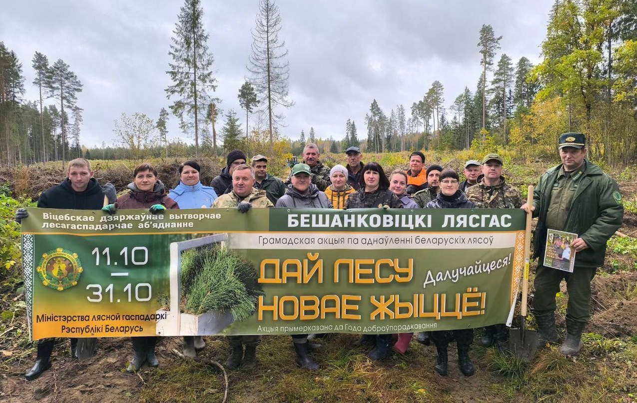 В Бешенковичском районе стартовала акция «Дай лесу новае жыццё!»