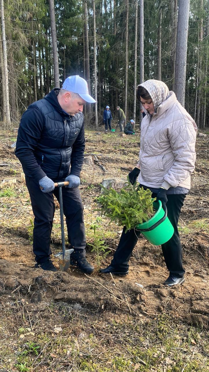 v-beshenkovichskom-rayone-prokhodit-aktsiya-les-dabro-paradak-_2