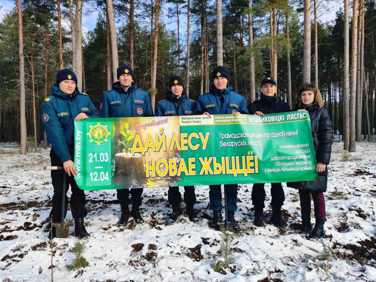 Сегодня завершается республиканская акция «Дай лесу новае жыццё!»