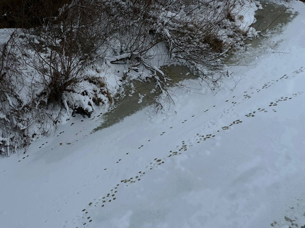 ostorozhno-kovarnyy-lyed-spasateli-i-osvod-napominayut-o-bezopasnosti-na-vodoyemakh_5