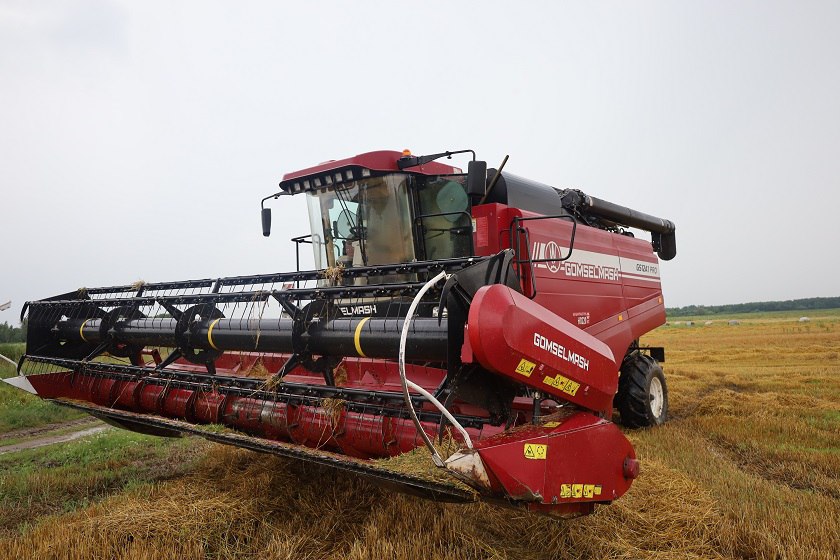 Как идёт уборка зерновых культур в Бешенковичском районе?