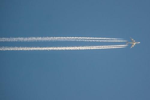 Между Оршей и китайским Хайкоу может быть налажен прямой грузовой авиарейс