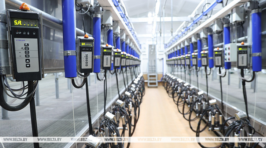 Указ: облисполкомам предоставлено право формировать сельскохозяйственные сырьевые зоны