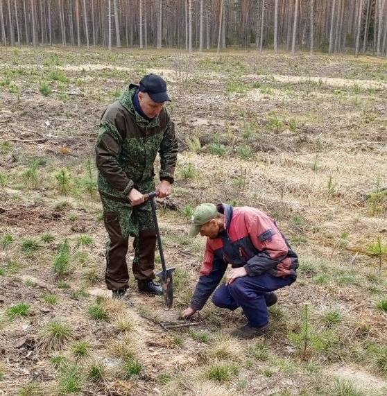 pravookhraniteli-prinyali-uchastie-v-aktsii-les-dabro-paradak-_6