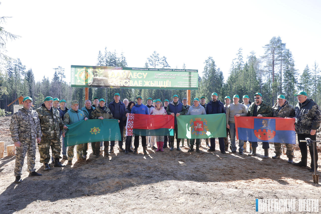 Совместный труд всегда объединяет - Александр Субботин об акции «Дай лесу новае жыццё!»