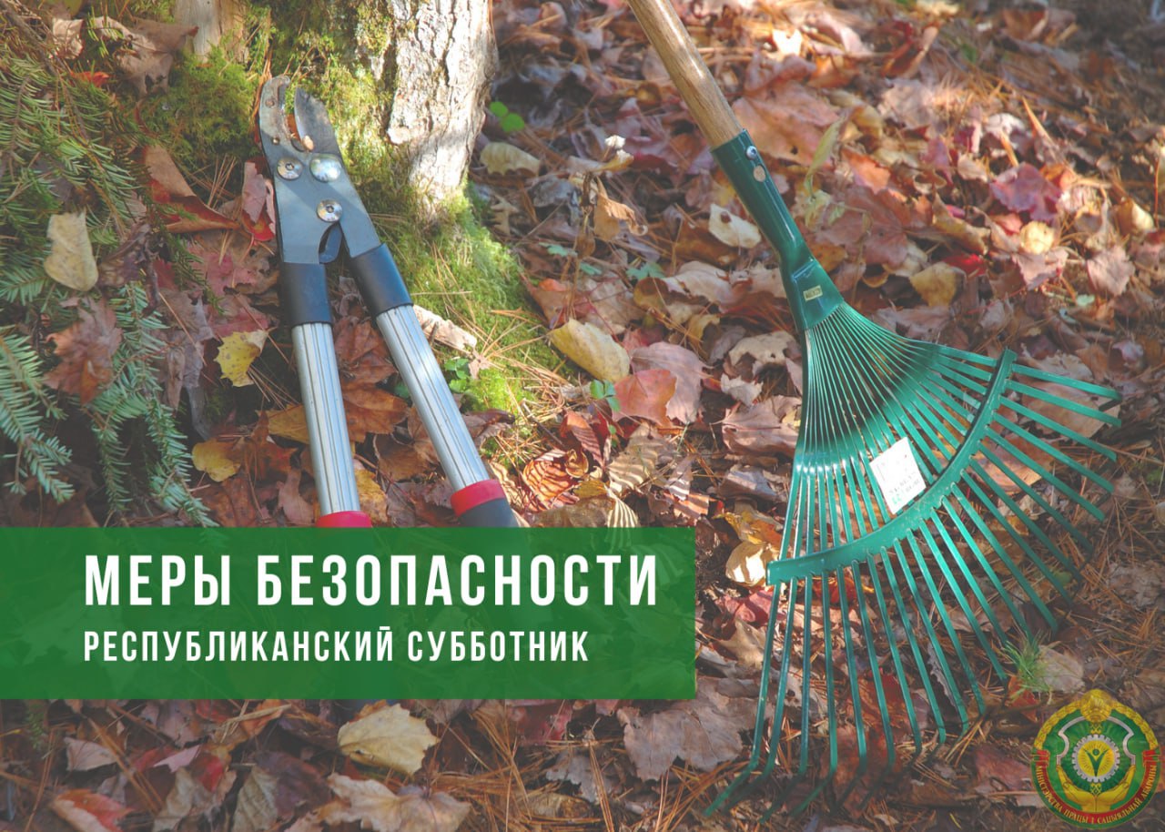 25 октября республиканский субботник объединит сотни тысяч белорусов